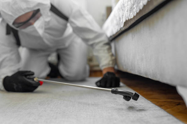 Professional Bed Bug Control technician working in Plymouth, MN