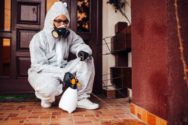 Reliable Bed Bug Control contractor in Plymouth, MN by Nex Pest Control
